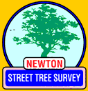 Street Tree Survey